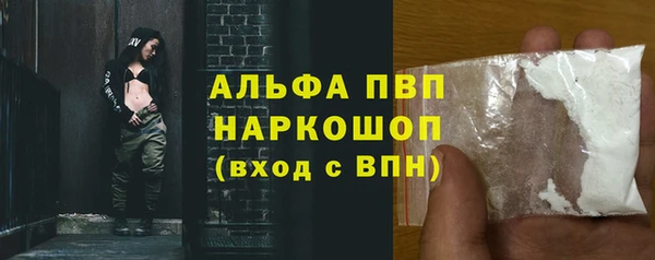 крисы Аркадак