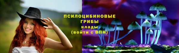 молекула духа Армянск