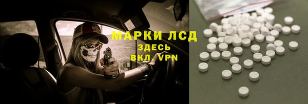 крисы Аркадак