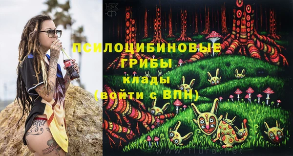 молекула духа Армянск