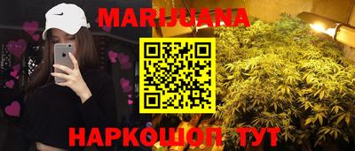 индика Тула