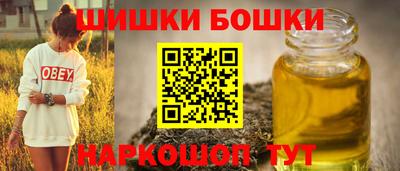 индика Тула