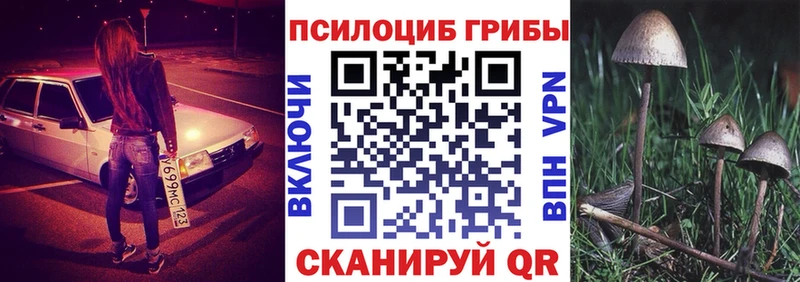 продажа наркотиков  Балтийск  Галлюциногенные грибы Cubensis 