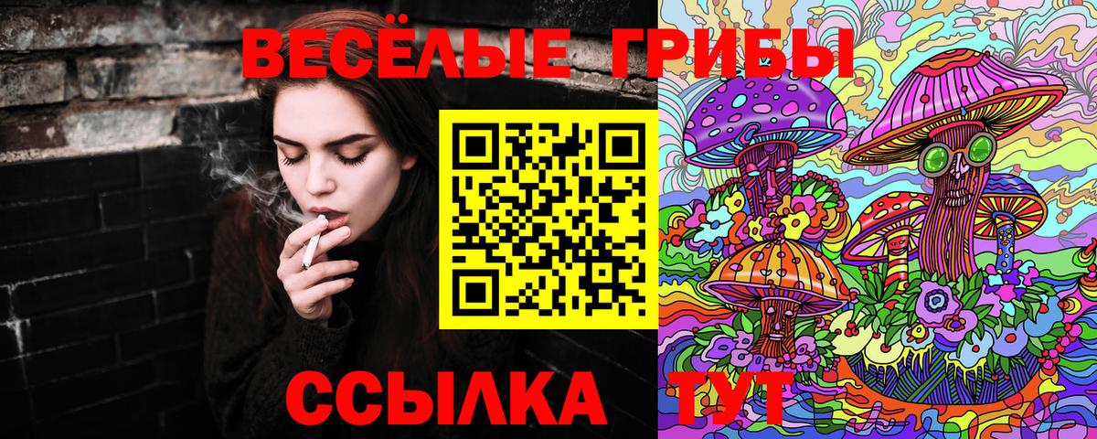 Псилоцибиновые грибы ЛСД Балтийск