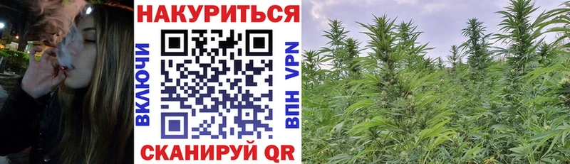 Бошки Шишки MAZAR  Балтийск 